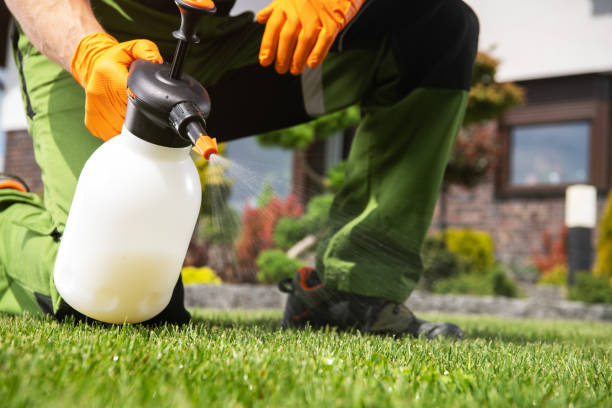 Best Insect Control  in Buckhannon, WV