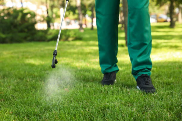  Buckhannon, WV Pest Control Pros