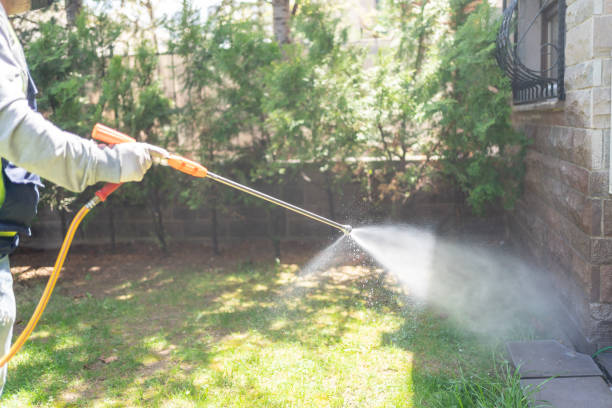 Best Exterminator Services  in Buckhannon, WV
