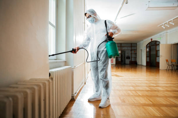 Best Affordable Pest Control Services  in Buckhannon, WV