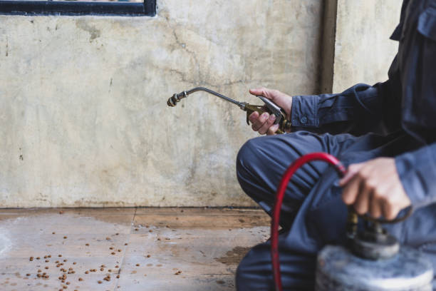 Best Best Pest Control Companies  in Buckhannon, WV
